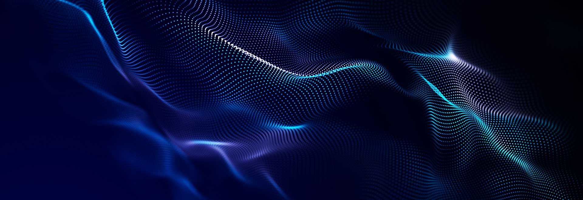 Why Every Company Needs a Fractional CISO